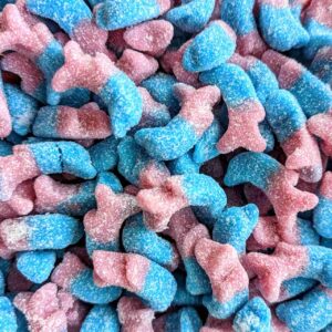 Fizzy Bubblegum Dolphins (V) (H)